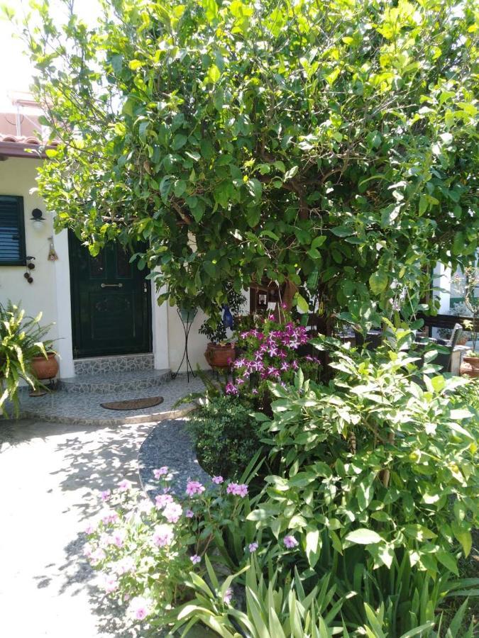 Arhontiko Kastelorizia Villa Afantou Exteriör bild