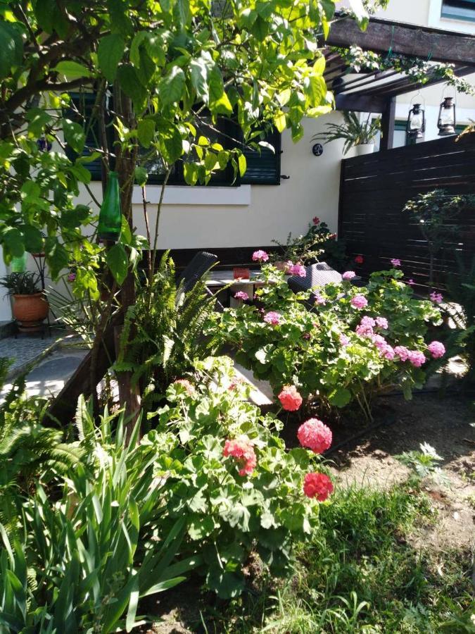 Arhontiko Kastelorizia Villa Afantou Exteriör bild