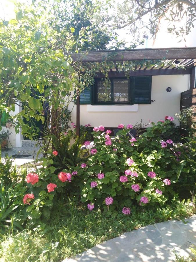 Arhontiko Kastelorizia Villa Afantou Exteriör bild