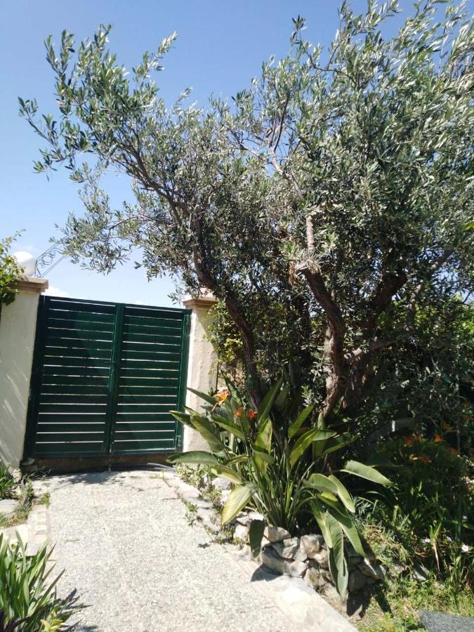 Arhontiko Kastelorizia Villa Afantou Exteriör bild